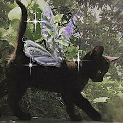 miss it (feat. tfayqo)