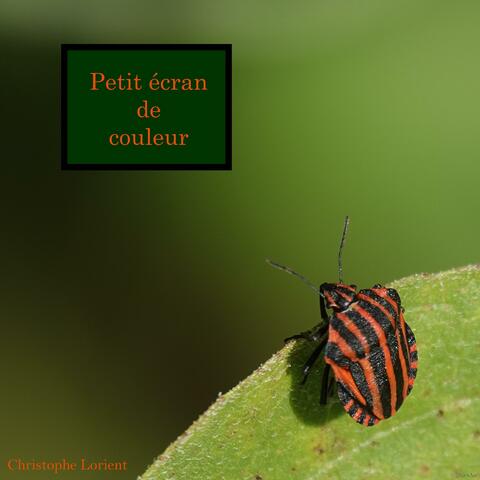 Petit écran de couleur (Radio Edit)