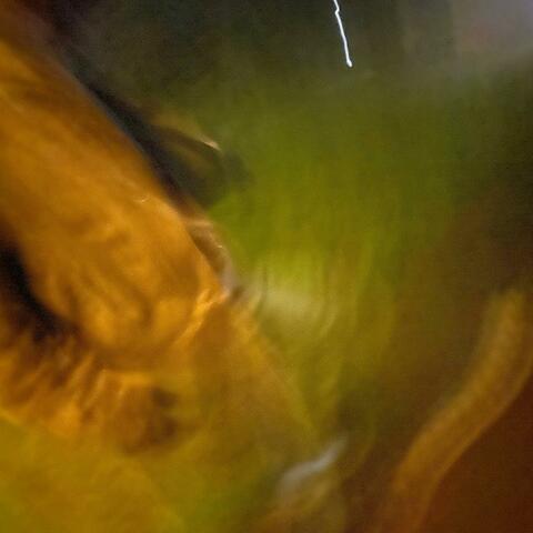 Roll Up (Moonlit)