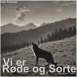 Vi er røde og sorte (NITHAK J2011)