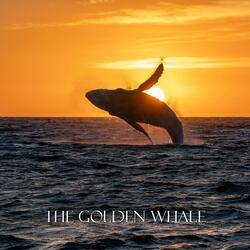 Whale speaks to the heart