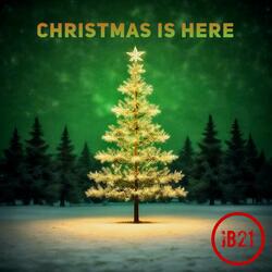 Under the Christmas Tree