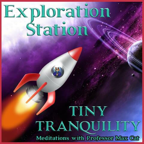 Tiny Tranquility: Meditations With Professsor Max Cat