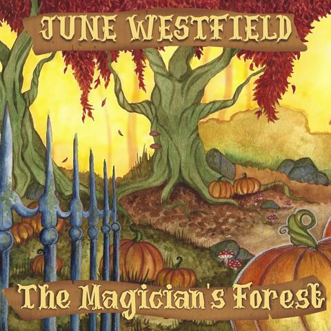 The Magician's Forest