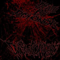 Dysmorphic