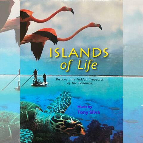 Islands of Life (Original Documentary Soundtrack)