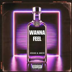 Wanna Feel