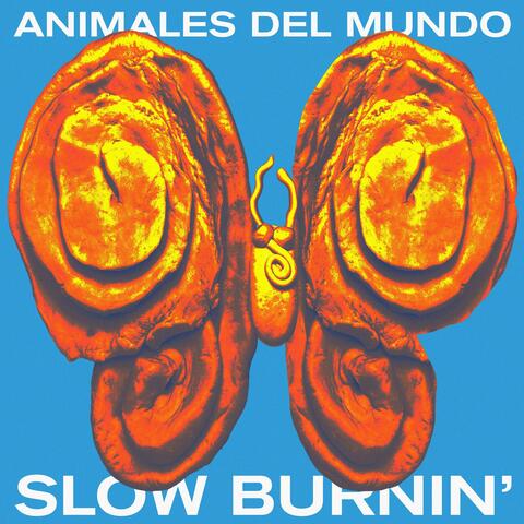 Animales del Mundo