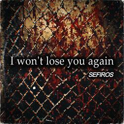I Won't Lose You Again