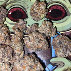 Please weed dont ever never leave me