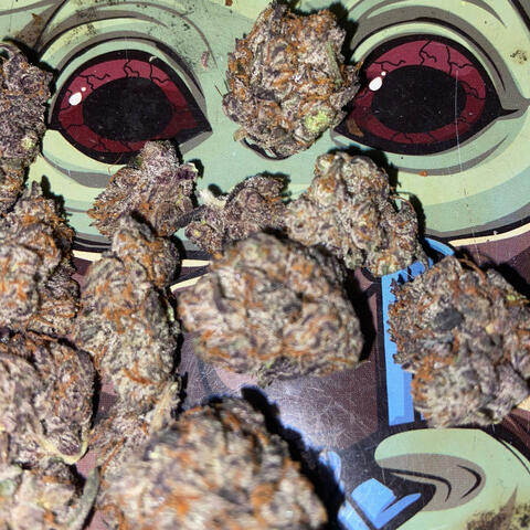 Please weed dont ever never leave me
