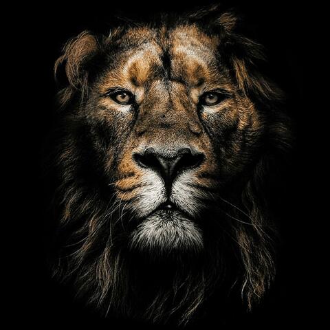 Lions (feat. Gymee Blak)