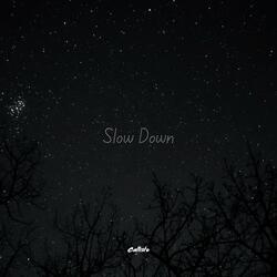 Slow Down