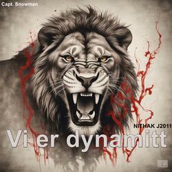 Vi er dynamitt (NITHAK J2011)