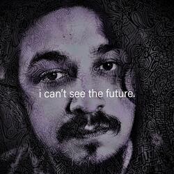 i can't see the future
