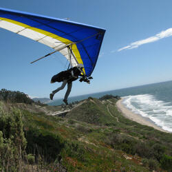 Gliding On Top Of It All