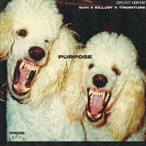 purpose (feat. killjoy & TinoInTune)