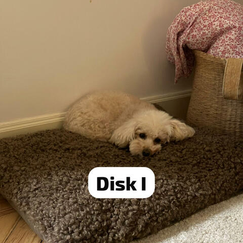 DISK I