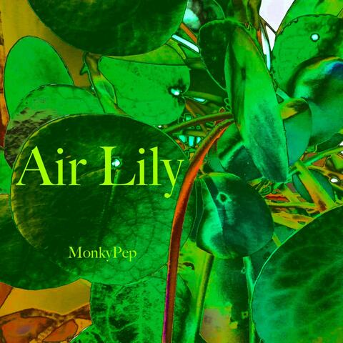 Air Lily