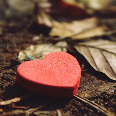 وداعا حبيبتي