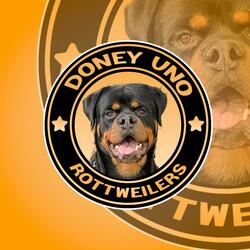 DONEYUNO ROTTIES
