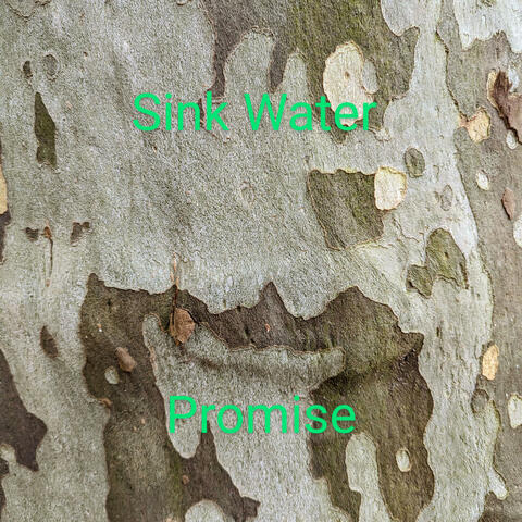 Promise