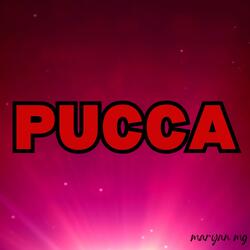 Pucca