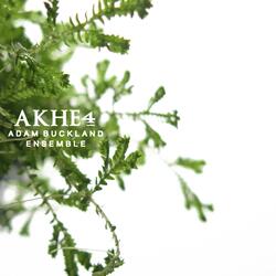 Akhea
