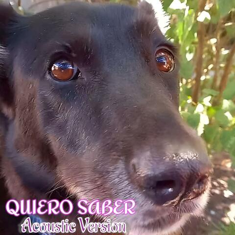 Quiero Saber (Acoustic Version)