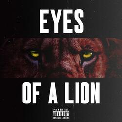 Eyes of a Lion