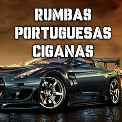 RUMBA PORTUGUESA 2k26