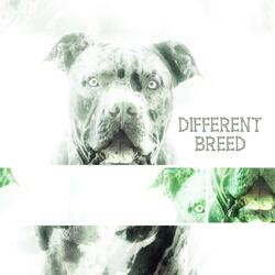 Different Breed (Instrumental)