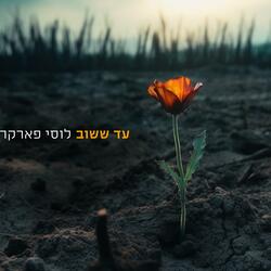 להאבק