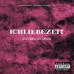 Ich geh in dein