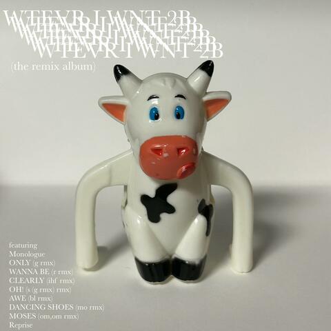 WTEVR I WNT 2B