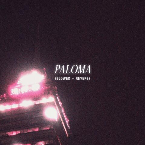 Paloma (Slowed + Reverb)