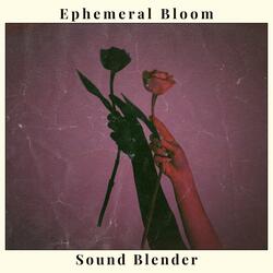 Bloom in the Haze