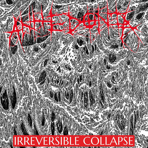 IRREVERSIBLE COLLAPSE