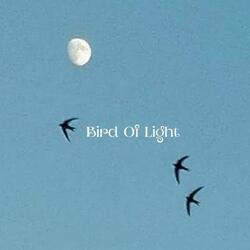 Bird Of Light