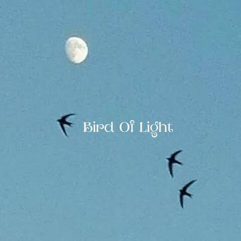 Bird Of Light