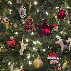 The Best Joyful Time Of The Year