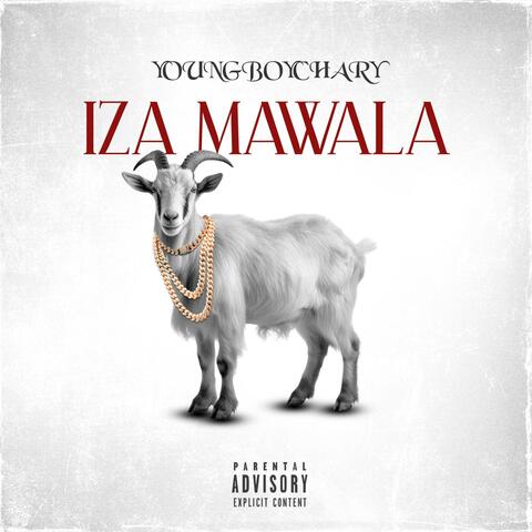 Iza Mawala (feat. Dladla Mshunqisi)