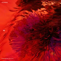 Darkroom (Images) (Acoustic)