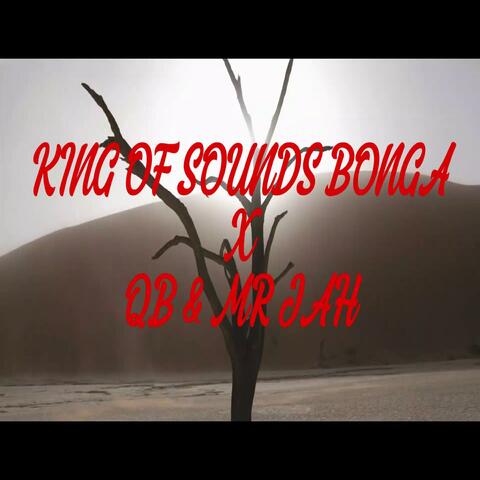 Namibia (feat. QB & Mr Jah)