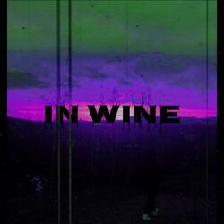 Ve víně (feat. Evelinn)