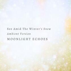 See Amid The Winter's Snow (Ambient Version)