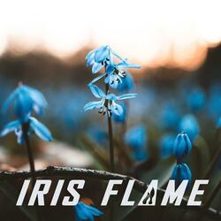 Iris Flame