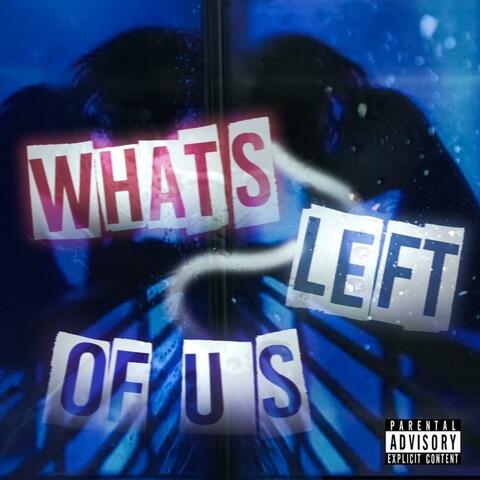 WHATS LEFT OF US