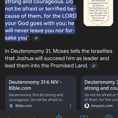 Deuteronomy 31:6