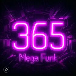 MEGA FUNK 365 DIAS VS SORRISO NO ROSTO